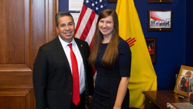 Congressional Staff and the Daily Workings of Democracy